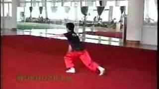 Nanquan (2000 Training @ Guangdong)