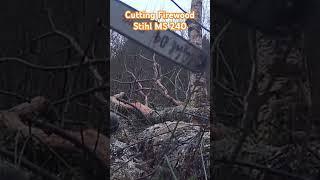 Cutting firewood. #stihlms240 #stihl #chainsaw #firewood