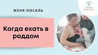 Когда ехать в роддом?  Эфир с врачом акушером-гинекологом Романом Николаевичем Гагаркиным