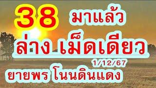 ด่วนๆ มาแล้ว เม็ดเดียว ล่าv ยายพร โนนดินแดง 1/12/67