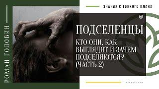 ПОДСЕЛЕНЦЫ. Кто они, как выглядят и зачем подселяются? (ЧАСТЬ 2)