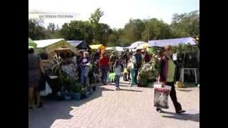 Зеленая Усадьба осень 2013