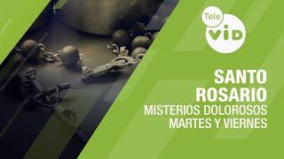 Santo Rosario  Misterios Dolorosos - Martes y Viernes, Tele VID #SantoRosario #TeleVID