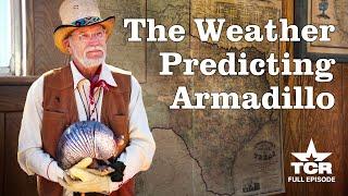 Bee Cave Bob, The Weather-Predicting Armadillo & Other Texas Legends