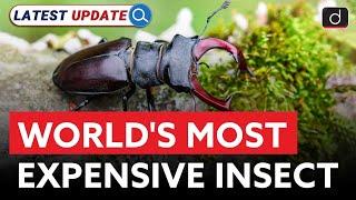 World’s Most Expensive Insect | Stag Beetle | Latest Update | Drishti IAS English