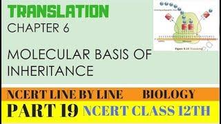 PART19-TRANSLATION||CHAPTER 6 NCERT CLASS 12TH BIOLOGY