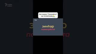 Пожалуйста на татарском?
