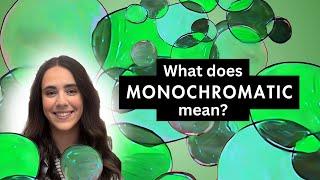 What does Monochromatic mean? Elementary.