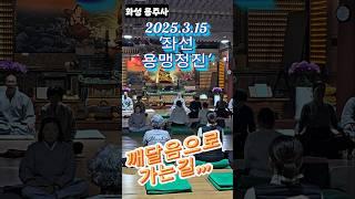 깨달음으로 가는 길!!!'좌선 용맹정진 '화성 용주사 (25.3.15), #화성용주사 #좌선명상 #용맹정진