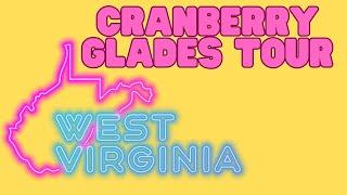 A Special Place in West Virginia | Cranberry Glades