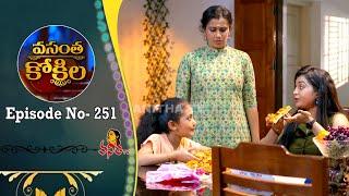 Vasantha Kokila Serial Episode - 252 || వసంత కోకిల సీరియల్ || Vanitha TV