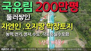 국유림200만평 임야에 둘러쌓인 자연인 오지 막장 땅매매 산속 계곡물 농막,전기,수도 각종유실수 몽땅 포함 나홀로 땅 강력추천 세상사는 부동산