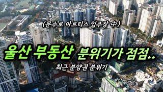 울산 부동산 빠른 상승의 바람 분양권 시황 및 입주장 분위기 ㅣ카오소장