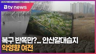 [기획보도-경기가든 보고서①] 안산갈대습지 복구 반쪽만?