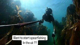 Spearfishing for beginners, Info on the gear needed and Training Tips