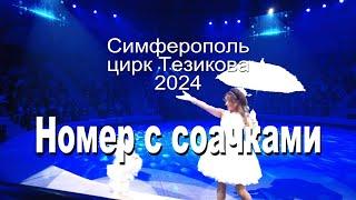 Цирк 2024 Собачки