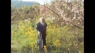 Masanobu Fukuoka ve Doğal Tarım