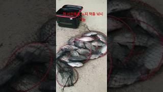 "5월 20일 노지 역돔낚시 개장" 네가 죽든 살든 세상은 무너지지 않아 당연하죠. 모래사장에 모래알 하나가 없어진다고 티가 나나요? 이 새끼 이거 독한거야, 똘팍이야?