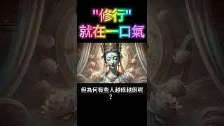 修行，就在一口氣：修行入門，你真的學會了嗎？ #開悟 #覺醒
