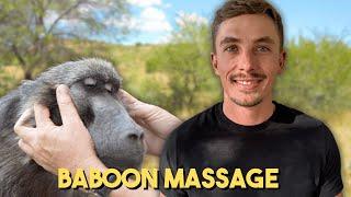 The Baboon Whisperer