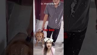 น้องโดนเต็มๆ ..!!?? #คลิปไวรัล #viral  #เรื่องแปลก #รอบโลก #สัตว์ #หมา #แมว #shorts