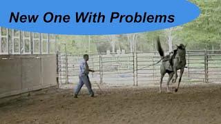 Big Horse With Discipline Issues