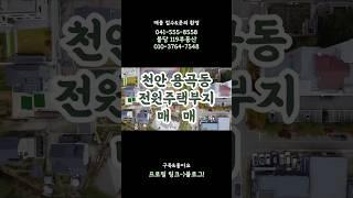 [매매] 010 천안 용곡동 전원주택부지 매매 물건입니다. 관심있으시면 편하게 전화 주세요 #천안토지매매 #천안전원주택 #전원주택부지