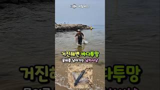 날아가는 물고기 새도 잡는 바다투망달인, 고성 동해바다 거진항 거진해변 날치투망, 한국투망협회 유기범 투망사, flying fish, castnet,fishing,playpesca