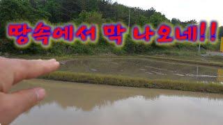 이틀간의 무더위!! 싸이즈 좋은 대물들이 막기어 나온다! / Best freshwater fish caught in warm weather.