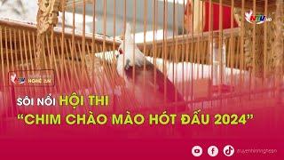 Sôi nổi Hội thi “Chim chào mào hót đấu 2024”
