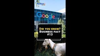 Did you know ? Business fact #13 #shorts #google #employs #goats #lawncare #kalkinemedia