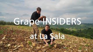 Grape INSIDERS: La Sala winery in Chianti Classico, Tuscany Wine Tours