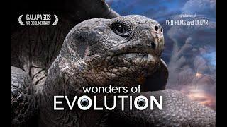 VR180 Wonders of Evolution | TRAILER: Galapagos Documentary 2024