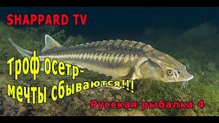 Русская рыбалка 4 Осетровый фарм!!!Снасти,премы и голд наживки в рулетке!!