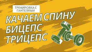 КАЧАЕМ СПИНУ, ТРИЦЕПС И БИЦЕПС ДОМА! ЭФФЕКТИВНАЯ ТРЕНИРОВКА С ГАНТЕЛЯМИ