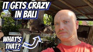 EXPLORING BALI 2024,TEMPLES,MARKETS,NEW FRIENDS