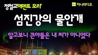 육십이 넘어 모든 것을 정리하고 섬진강가로 왔다. 알고보니 큰아들은 내 씨가 아니었고 그동안의 삶도 내 것이 아니었다/ 정철교'메멘토 모리'/ 책읽어주는여자/ 지니라디오/ 오디오북