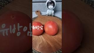 60초비법! 지금 토마토 안 먹으면 손해!