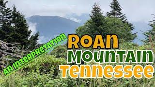 Roan Mountain Tennessee: An Interpretation