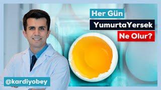 Her Gün Yumurta Tüketmenin 8 Büyük Faydası