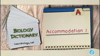 Biology Definitions | Accommodation | Biology Dictionary | Defining Accommodation 2.