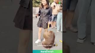 This Monkey's Banana Game is STRONG!  Cling Level: Expert!  #monkey #funny #cuteanimals #travel