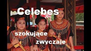 CELEBES - SZOKUJĄCE ZWYCZAJE