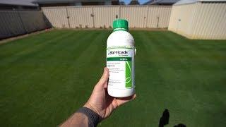 All About Pre-Emergent Herbicides // FAQ and Tips