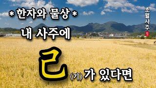 [사주운세] 내 사주에 기(己)가 있다면!?