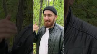 Приключения Алика: «Грибочки» #юмор #приколы #алик #приключенияалика
