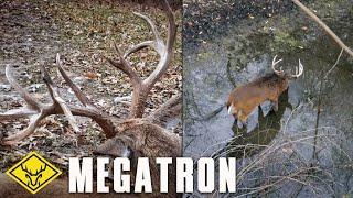 The Hunt for MEGATRON | A tale of two bucks...