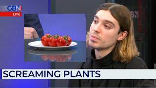 Vegan debates "screaming tomatoes" on live TV