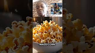 #maize #Corn #Agriculture #MaizeHistory #SustainableFarming #CropProduction #AgricultureEducation