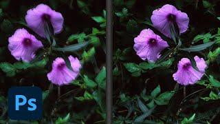 Photoshop Sneak Peek: See What's to Come | Adobe Photoshop